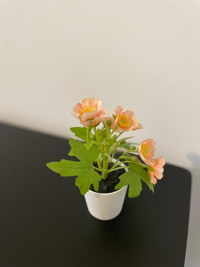 Mr Ferienwohnung - Wohnung Emma Schellerten Luaran gambar